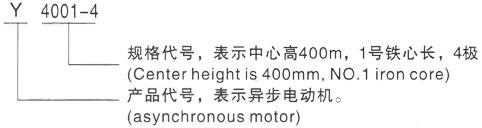 西安泰富西玛Y系列(H355-1000)高压YKS4505-4/630KW三相异步电机型号说明